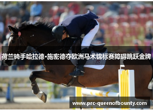 荷兰骑手哈拉德·施密德夺欧洲马术锦标赛障碍跳跃金牌