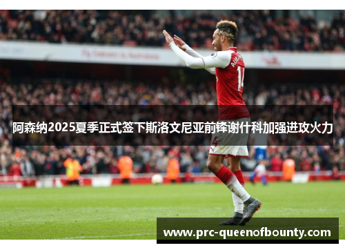 阿森纳2025夏季正式签下斯洛文尼亚前锋谢什科加强进攻火力