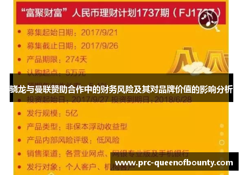 骁龙与曼联赞助合作中的财务风险及其对品牌价值的影响分析 骁龙与曼联赞助合作中的财务风险及其对品牌价值的影响分析